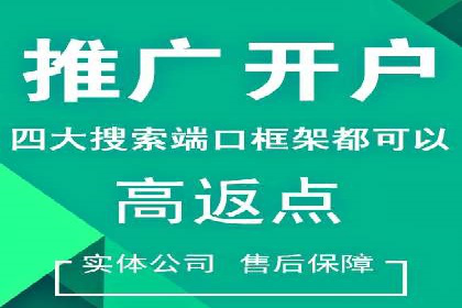 竞价端口开户全解析，实战案例
